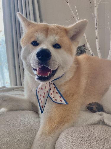 大吉くんと幸ちゃん