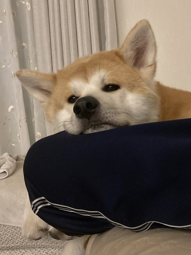 大吉くんと幸ちゃん