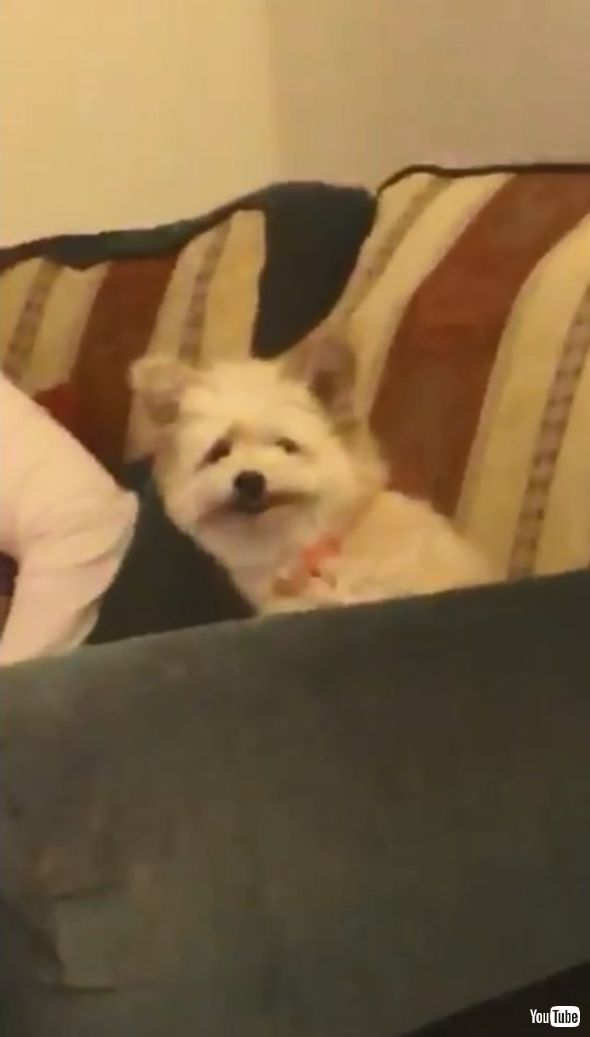 満面の笑みを見せるホリー