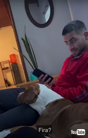 ワンコの名付け方