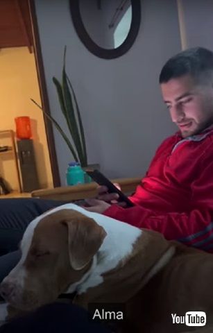 ワンコの名付け方