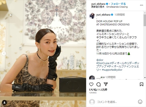 「Dior」イベントでドレスアップした蛯原友里