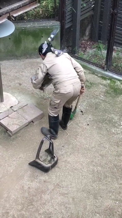 オカメインコと飼育員さん