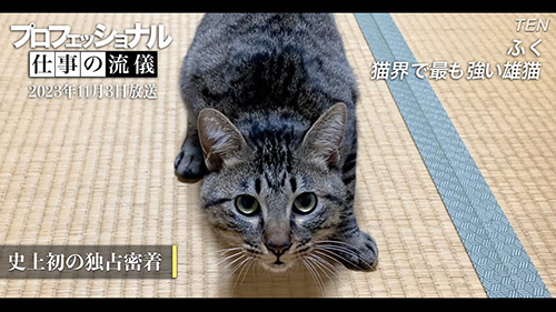 おすすめ