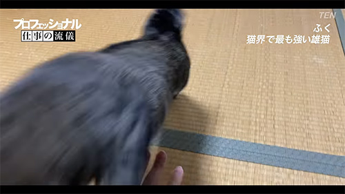 ロケットふくくん