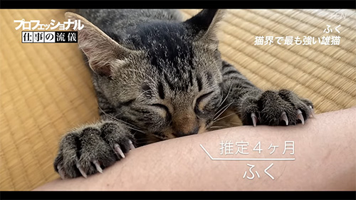 生後4カ月ふくくん