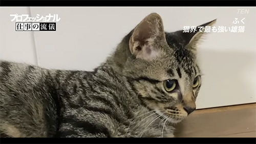 闘志は消えていなかった