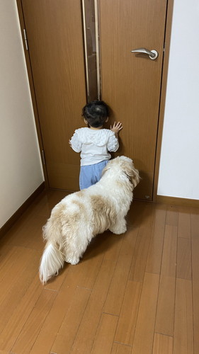 パパを待つ赤ちゃんとアンディくん