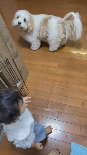 パパを待つ赤ちゃんとアンディくん