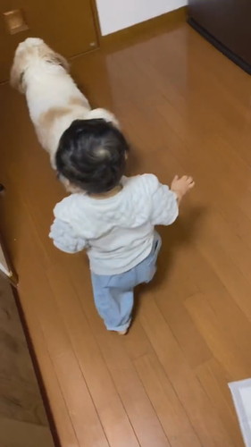 パパを待つ赤ちゃんとアンディくん