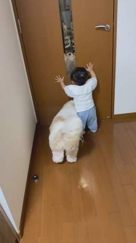 パパを待つ赤ちゃんとアンディくん