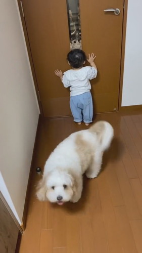 パパを待つ赤ちゃんとアンディくん