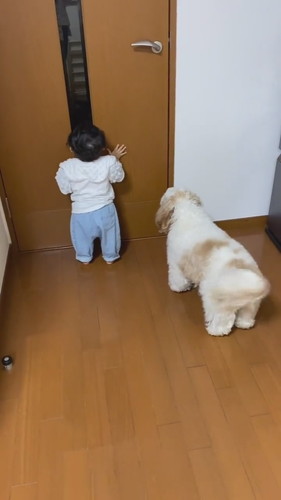 パパを待つ赤ちゃんとアンディくん