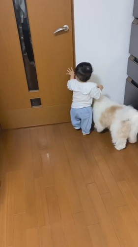 パパを待つ赤ちゃんとアンディくん