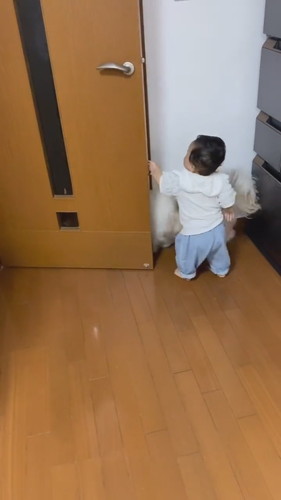 パパを待つ赤ちゃんとアンディくん