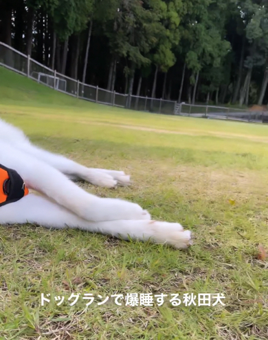 足をだらーんとさせてリラックスモード