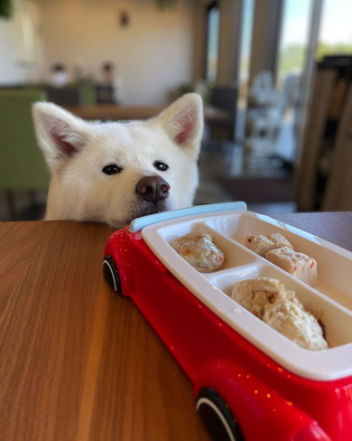 ワンコプレートと秋田犬