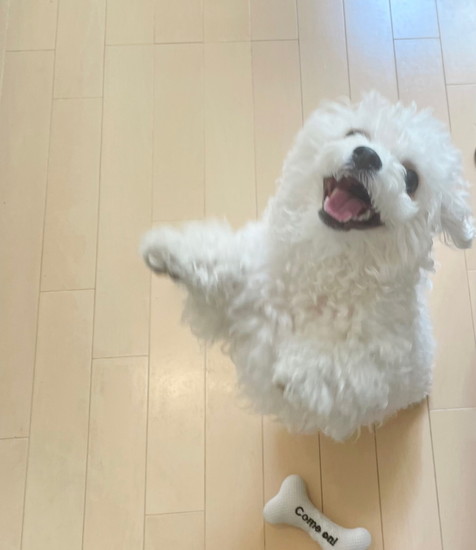 地蔵