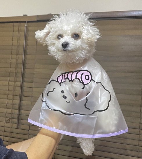 持たれている犬