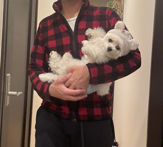 抱っこされた犬