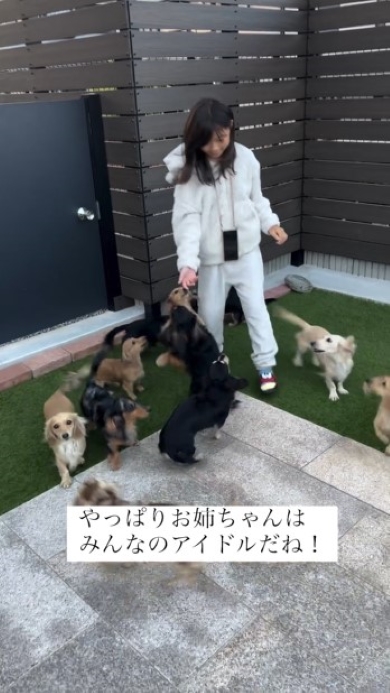 娘に群がる犬