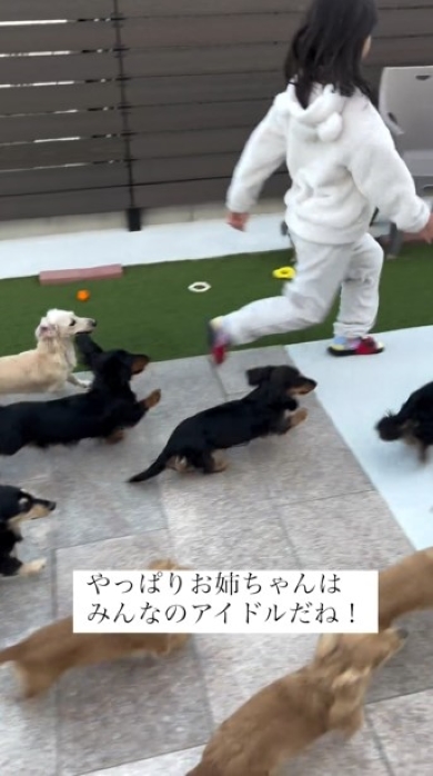 娘についていく犬