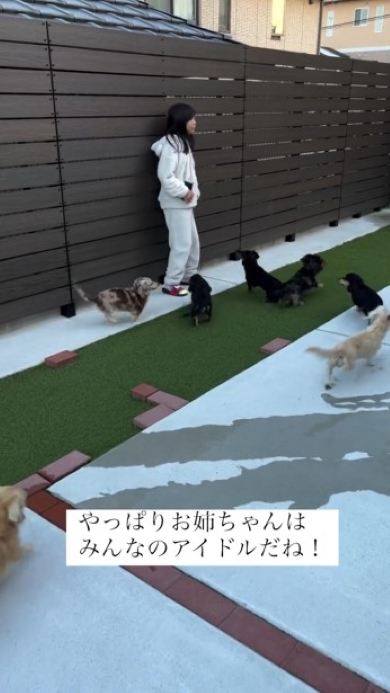 はしゃぐ犬