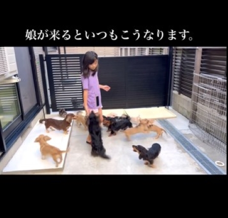 娘に群がる犬