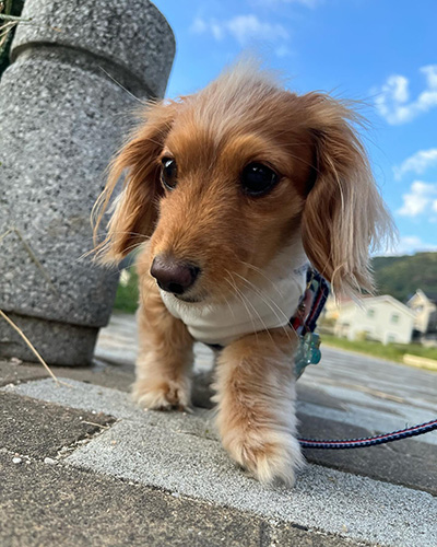 ボール無しなつちゃん