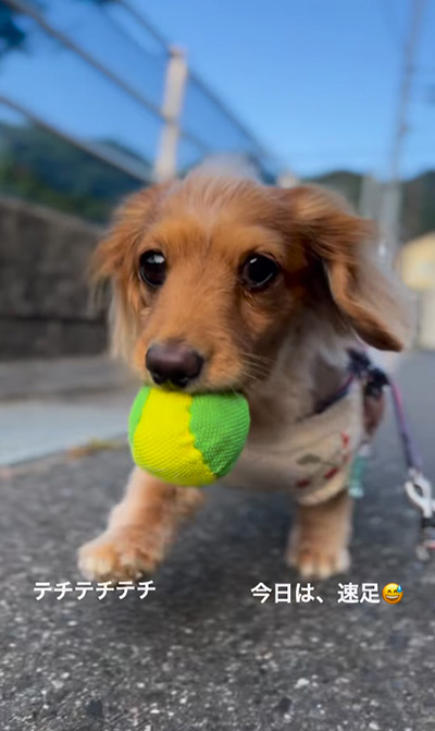 やや左向きなつちゃん