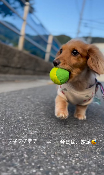 よそ見なつちゃん