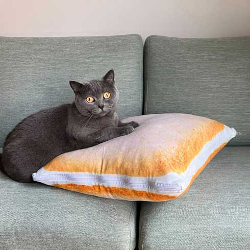 白い恋人 リバーシブルクッション 石屋製菓 公式 グッズ