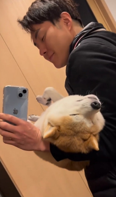 直前まで寝ていたい柴犬