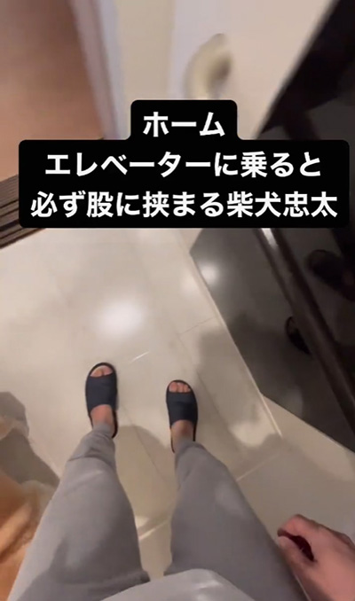 エレベーターに乗った柴犬