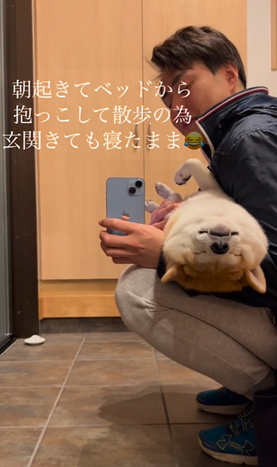 玄関でも寝たまま柴犬