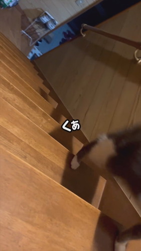 ブレないぎんちゃん