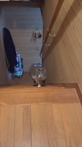 ブレないぎんちゃん