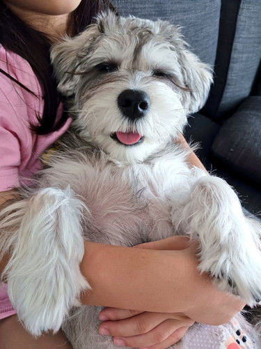 眠そうなペレくん