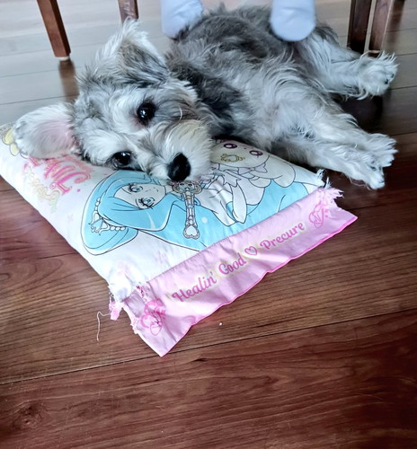 寝転ぶペレくん