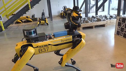 ロボ 犬 しゃべる犬