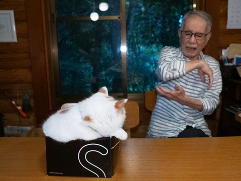 ひじを痛がるお父さん