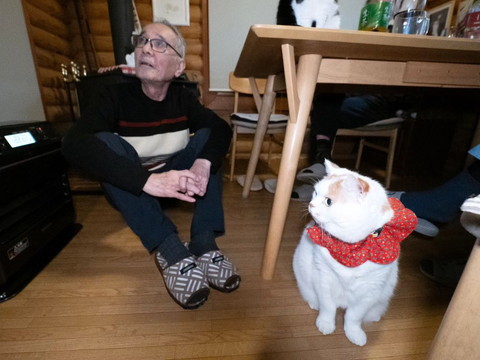 上を見上げるお父さんと隣に猫