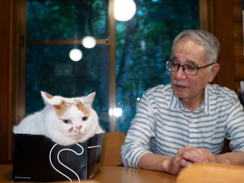 箱入り猫を見つめるお父さん