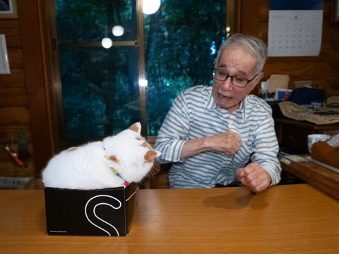 箱入り猫後頭部とお父さん
