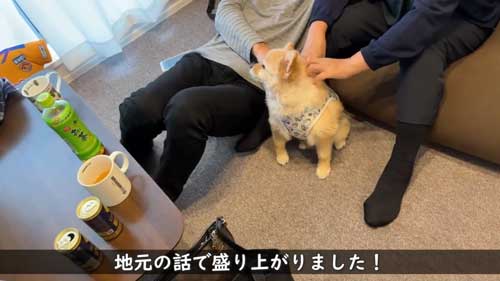 ポメラニアン 愛犬 大好き 両親 飼い主 再会 反応 感動 おもてなし 甘える