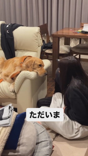 ぼんやり目開く犬