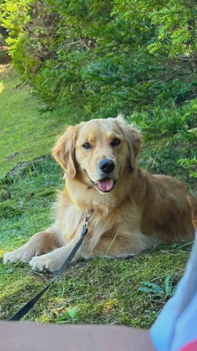 野球観戦にいったスーシーちゃん