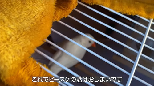 これでおしまい