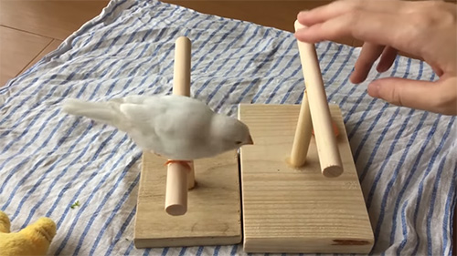 手作りの止まり木