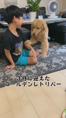 気になる症状が出ていたリリーちゃんですが……